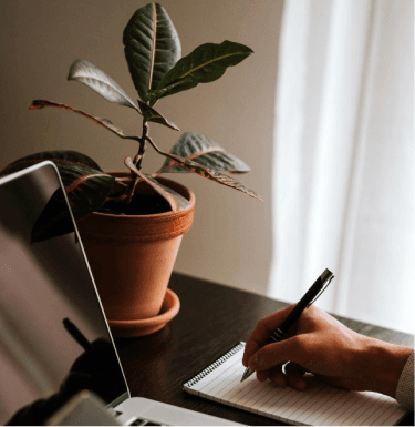Person writing notes at a workspace with a plant